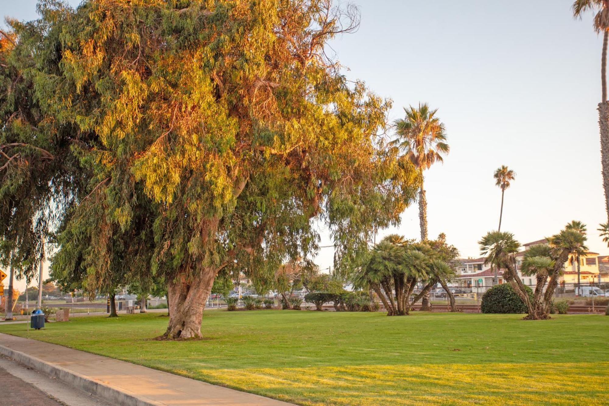 1 Block From Beach - Steps From Restaurants & Shops Oceanside Exterior foto